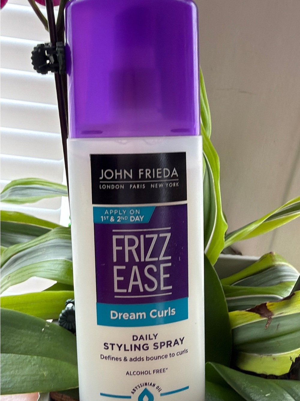 Frizz Ease Dream Curls Daily Styling Spray - Purple 6.7 fl oz